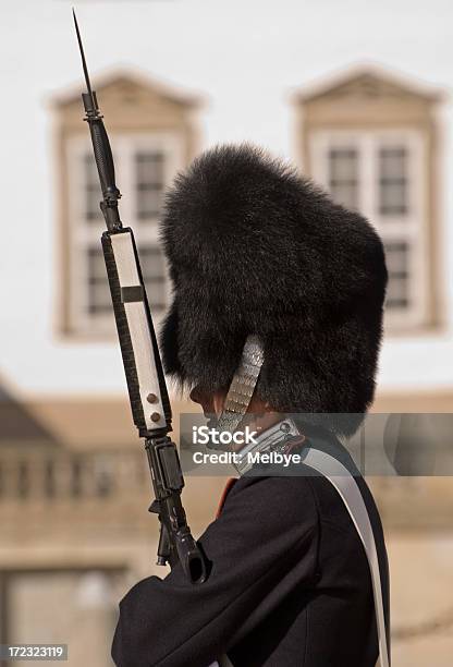 Guard In Uniform Stock Photo - Download Image Now - Animal Hair, Architecture, Bayonet