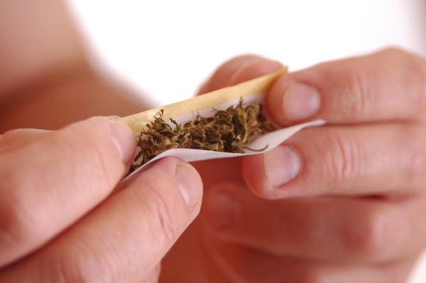 Roll me another one...marijuana.