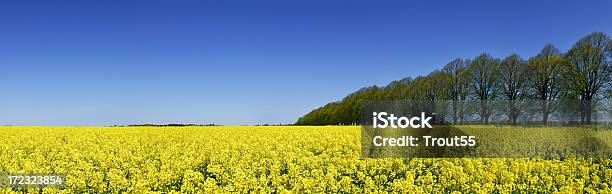 Landschaft Stockfoto und mehr Bilder von Baum - Baum, Blau, Bunt - Farbton