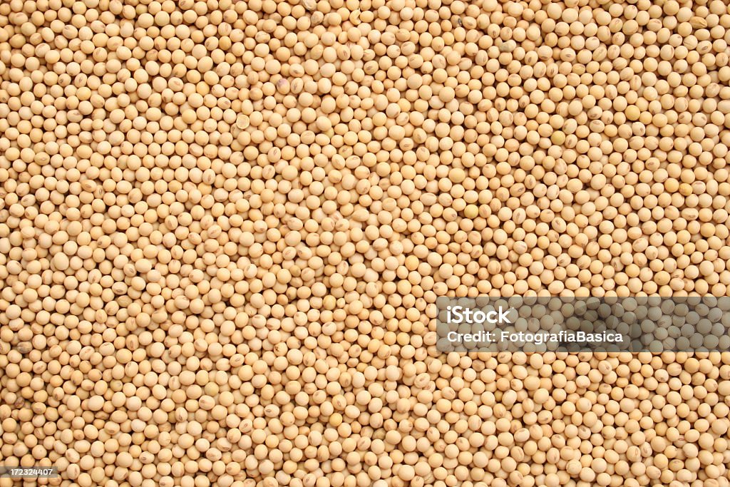 Soybeans arrière-plan - Photo de Aliment libre de droits