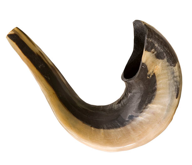 shofar isolated stock photo