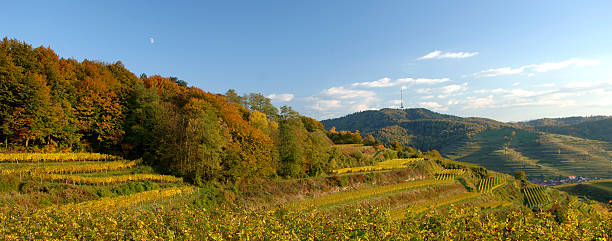 kaiserstuhl - kaiserstuhl black forest germany autumn zdjęcia i obrazy z banku zdjęć