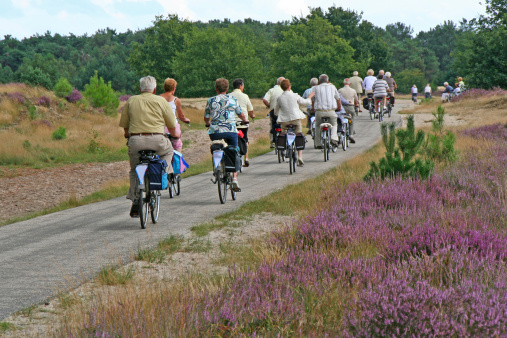 Cycling tour crossing heathland, please see also my other images of cyclists, cycles and cycle signs in my lightbox: