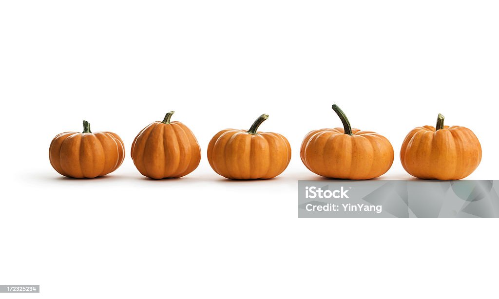 Five Orange Pumpkin Squash in a Row, an Autumn Food A row of five pumpkins, an autumn squash food, isolated on a white background. Pumpkin Stock Photo