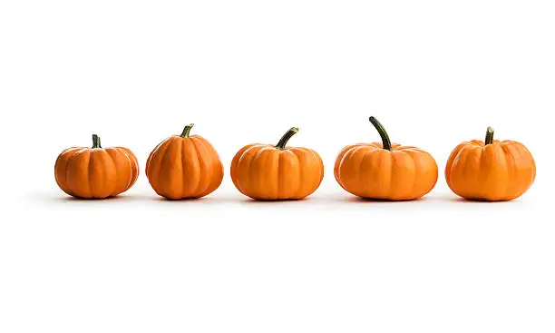 A row of five pumpkins, an autumn squash food, isolated on a white background.