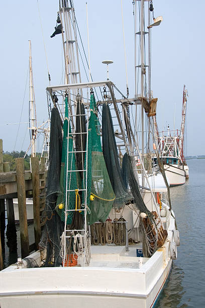istock Shrimp Boats at Rest 172325309
