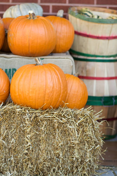 istock Pumpkins for Sale 172325692
