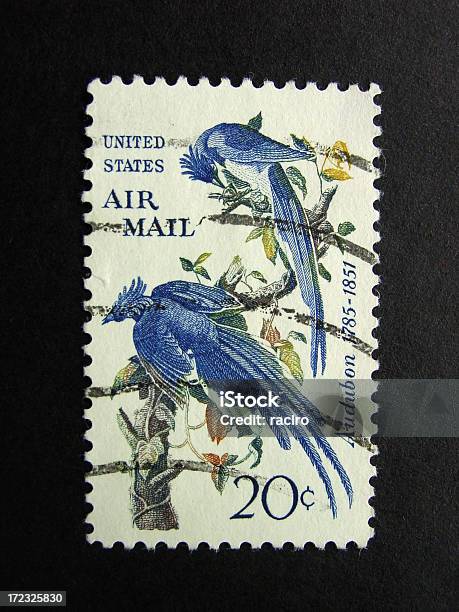 Airmail Selo - Fotografias de stock e mais imagens de Audubon Park Zoo - Audubon Park Zoo, Pássaro, Selo Postal