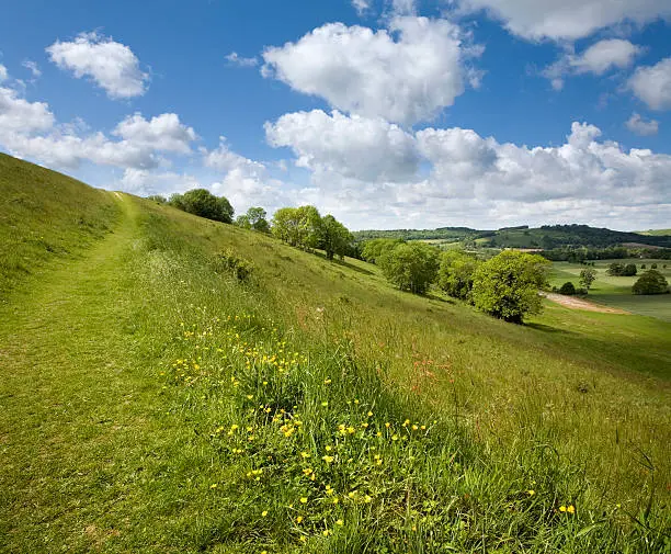 "A quintessential view of an English chalk landscape. This is Cissbury Ring near Worthing in West Sussex, England"