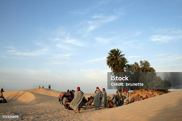 Caravana Descansar No Deserto - Fotografias de stock e mais imagens de Camelo - Camelo, Tunísia, Animal
