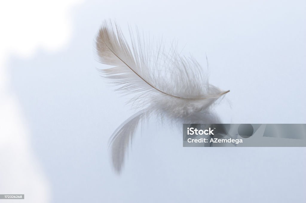 Feather Träume 2 - Lizenzfrei Blau Stock-Foto