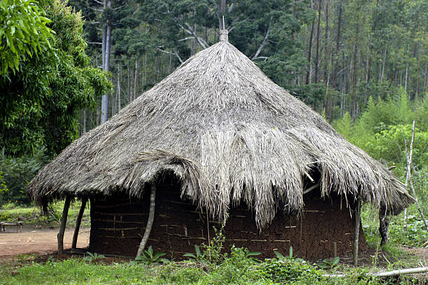 istock Hut in Africa 172326356