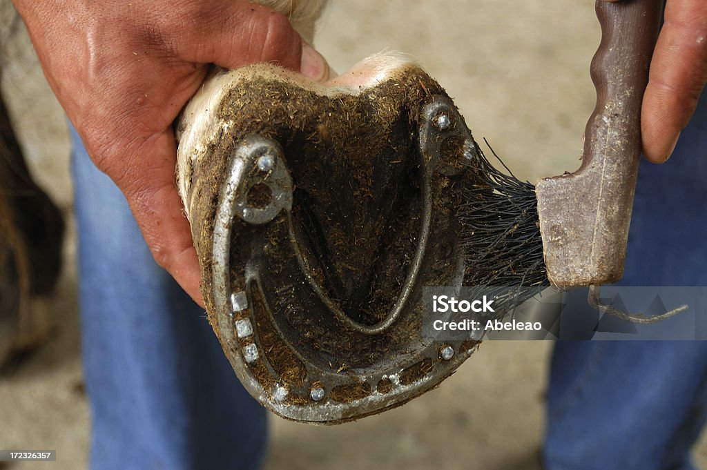 Horseshoe Reinigung - Lizenzfrei Arbeiten Stock-Foto