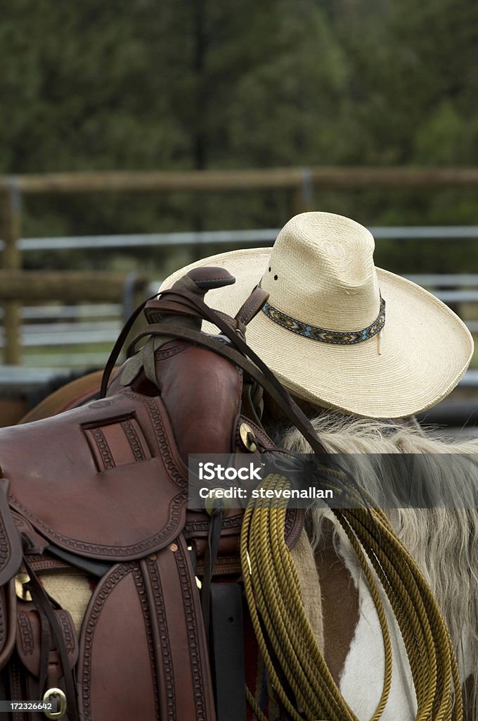 Cowboy - Royalty-free Animal Doméstico Foto de stock