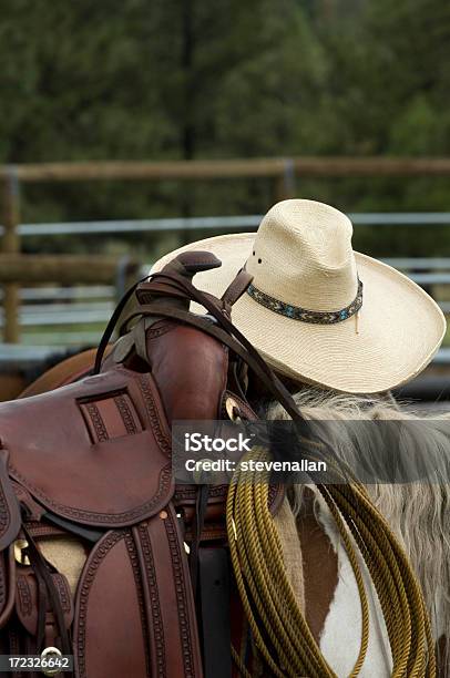 Cowboy - Fotografias de stock e mais imagens de Animal Doméstico - Animal Doméstico, Arizona, Cabelo Comprido