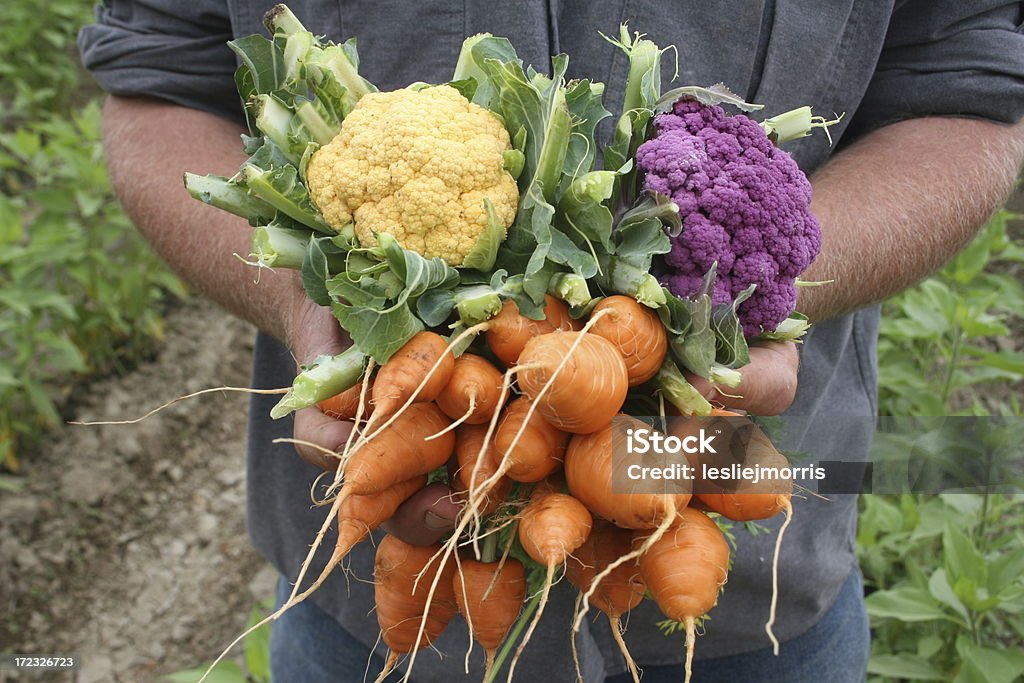 Mani con verdure - Foto stock royalty-free di Verdura - Cibo