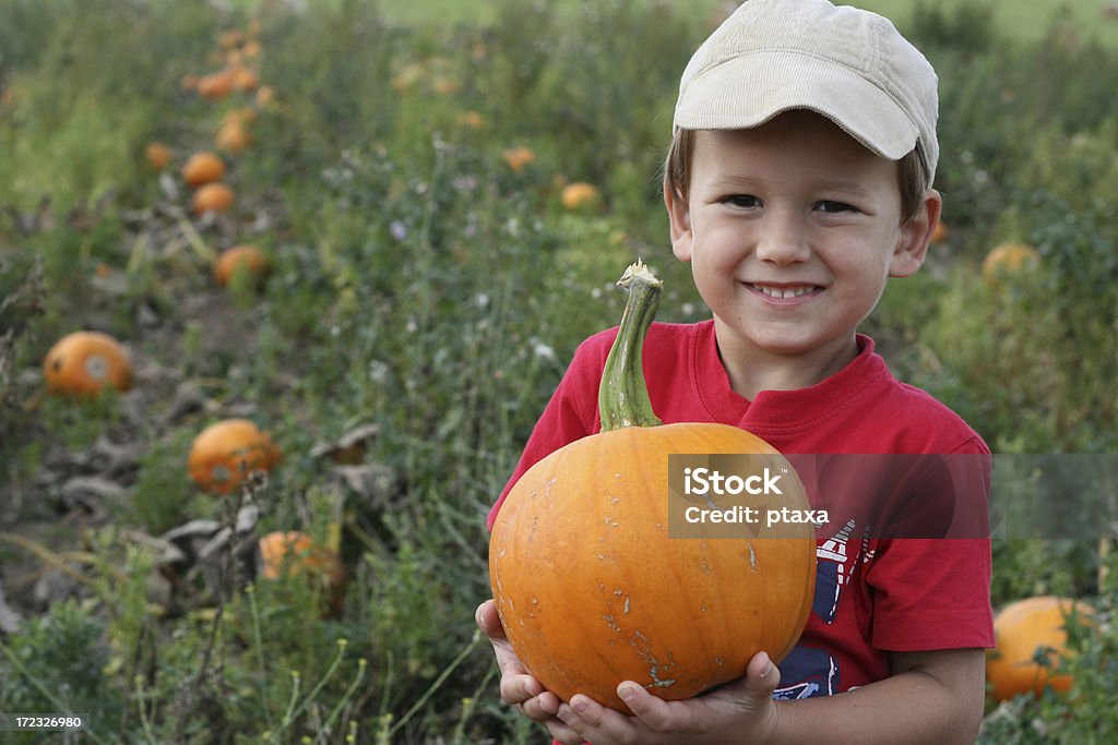 Sosteniendo un niño de calabaza - Foto de stock de Calabaza gigante libre de derechos