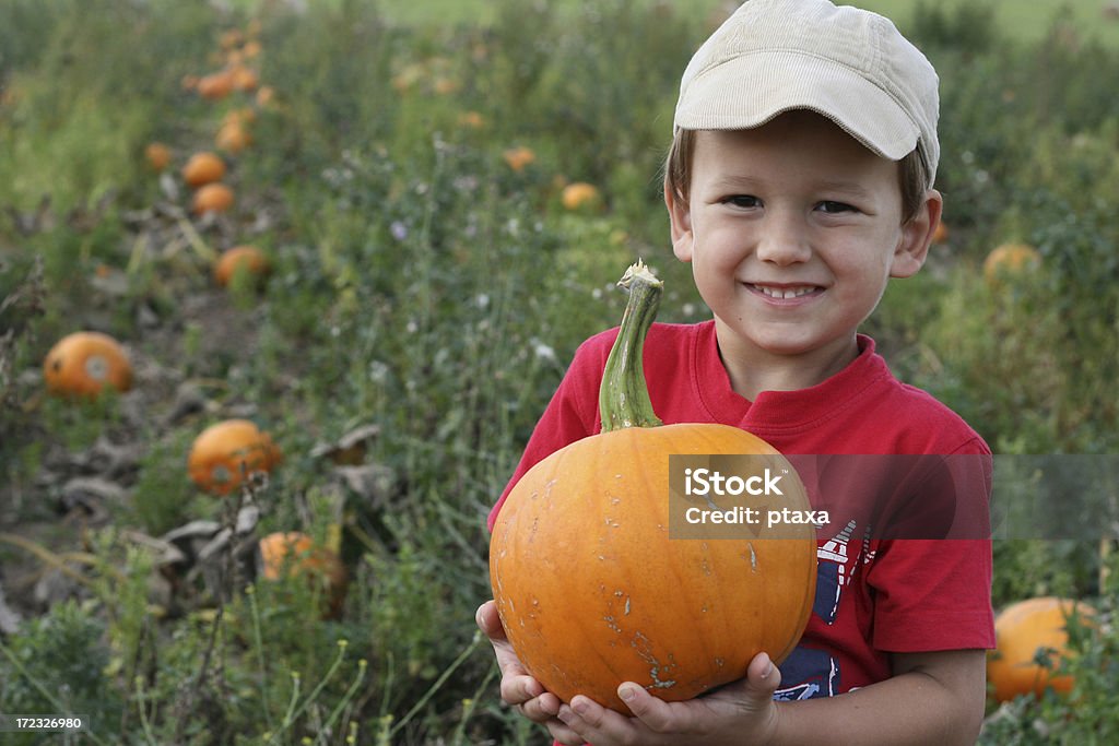 남자아이 쥠 a 펌프킨 - 로열티 프리 호박-조롱박과 식물 스톡 사진