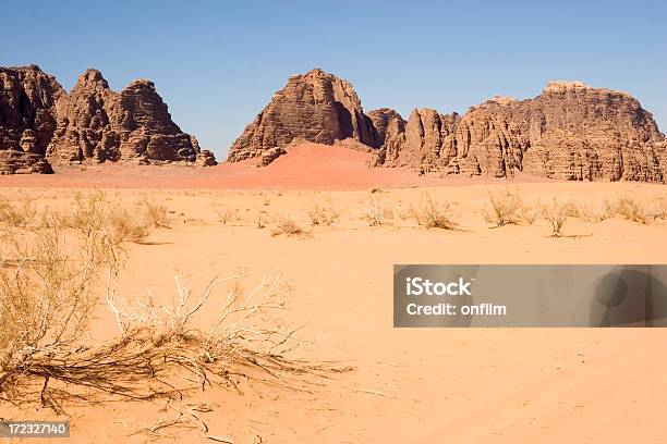 Wadi Rum Jordania - zdjęcia stockowe i więcej obrazów Azja Zachodnia - Azja Zachodnia, Bez ludzi, Busz