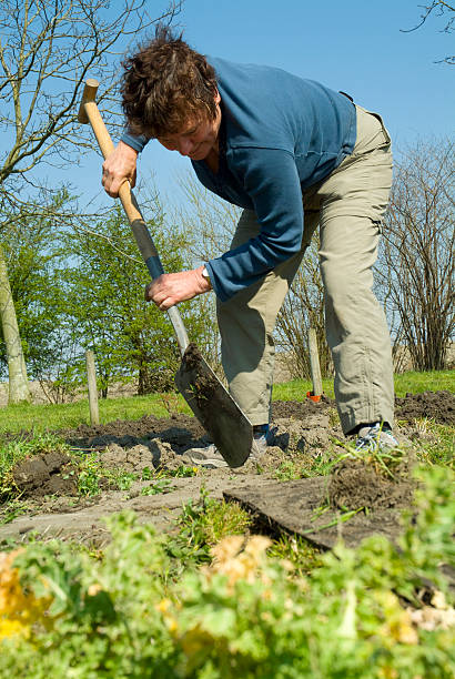 istock Senior woman digging in the garden 172327256