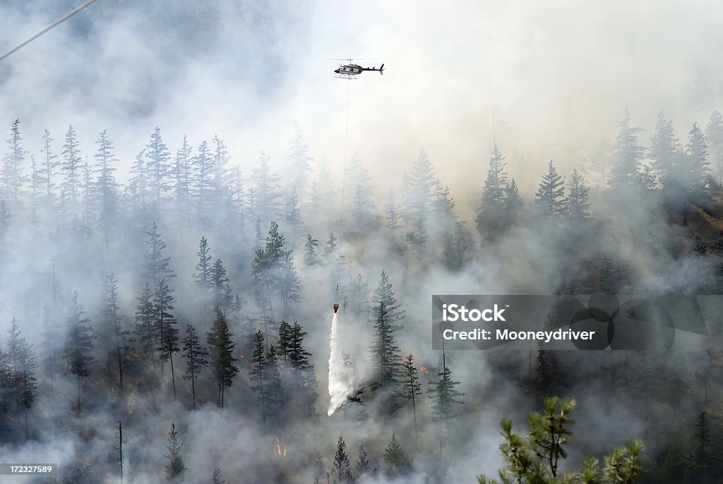 Firefighting a forest fire with white smoke Aerial firefighting for a forest fire Forest Fire Stock Photo