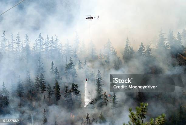Firefighting A Forest Fire With White Smoke Stock Photo - Download Image Now - Forest Fire, Canada, Natural Disaster