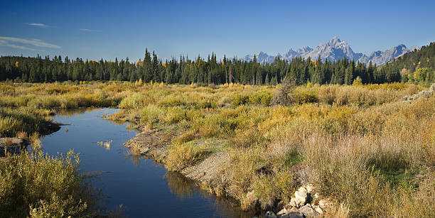 Kleiner Bach und Teton range panorama – Foto