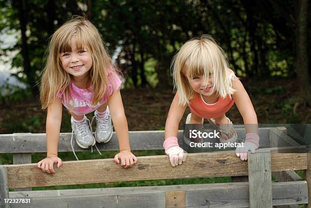 Spielen Auf Der Wagon Stockfoto und mehr Bilder von 2-3 Jahre - 2-3 Jahre, 4-5 Jahre, Arbeiten