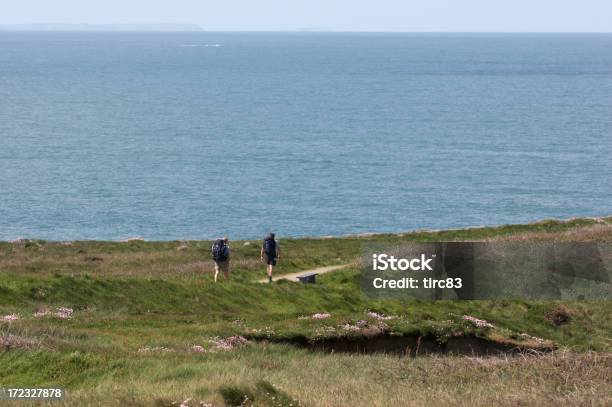 Pedestres Na Localização Da Costa Da Cornualha - Fotografias de stock e mais imagens de Areia - Areia, Baía, Cena Rural