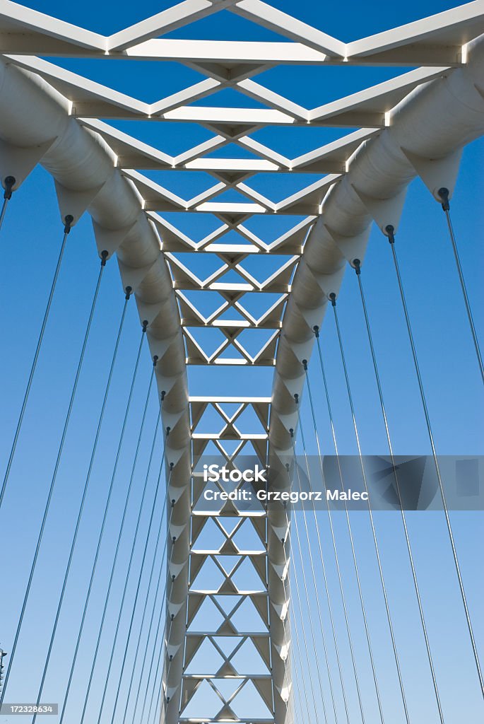 Ponte Suspensa - Royalty-free Apoio Foto de stock