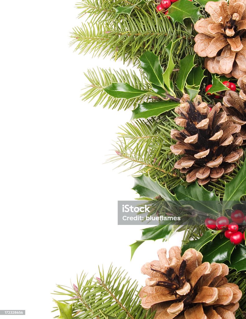 Pinha holly - Foto de stock de Moldura de Quadro - Composição royalty-free