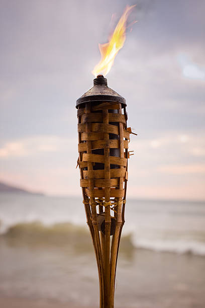 tikki факел - tiki torch стоковые фото и изображения