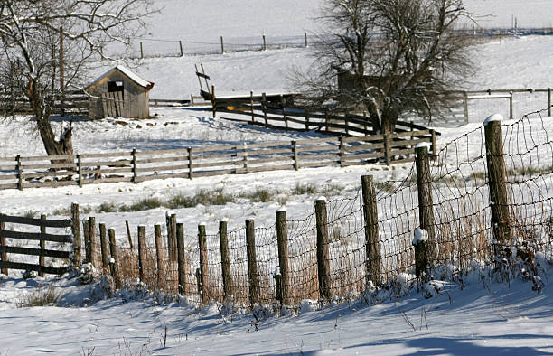 escapar de la granja - winter scape fotografías e imágenes de stock