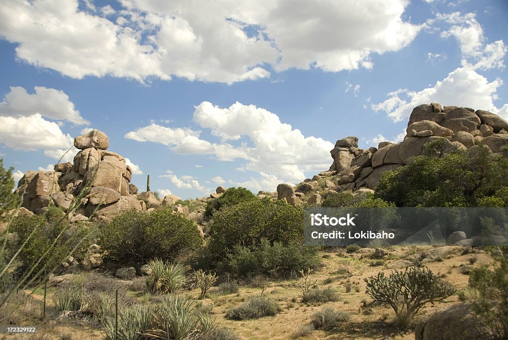 Désert de Sonora - Photo de Arizona libre de droits