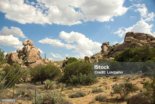 Photo libre de droit de Désert De Sonora banque d'images et plus d'images libres de droit de Arizona - Arizona, Cactus, Ciel
