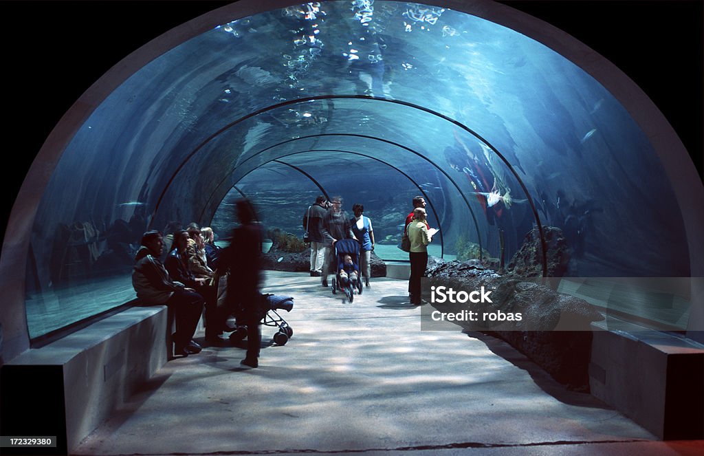 Persone in Galleria d'acqua. - Foto stock royalty-free di Acquarium