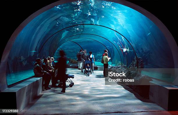 人の水 Tunnel を通過します - 水族館のストックフォトや画像を多数ご用意 - 水族館, トンネル, 水中
