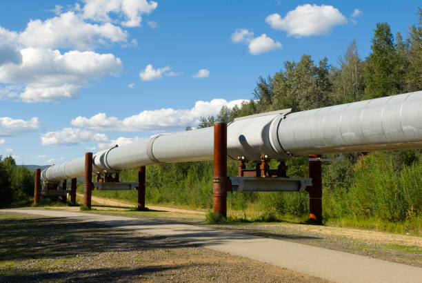 istock Trans Alaska Oil Pipeline 172329800