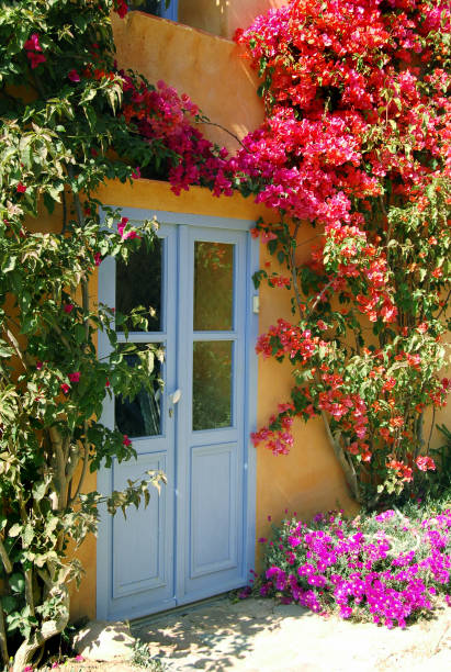 istock Door to a fairytale house 172330285
