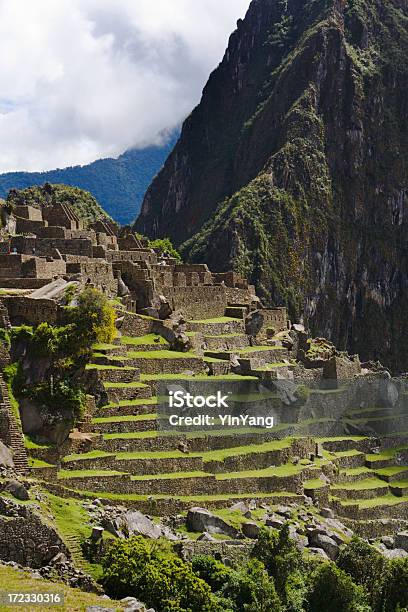 Hill Terrazas De Machu Picchu Foto de stock y más banco de imágenes de Machu Picchu - Machu Picchu, En ruinas, Ruina antigua