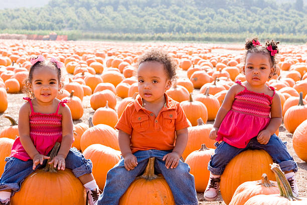 kids at a 호박밭 - little boys black african descent american culture 뉴스 사진 이미지