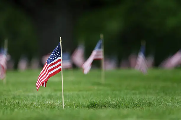 Photo of Memorial Day grave site flags.
