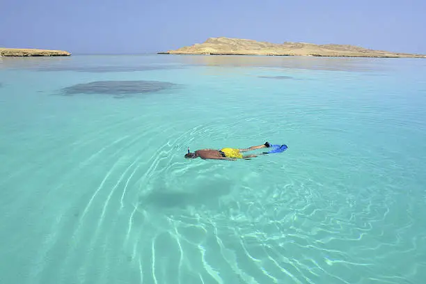 Man snorkelling next to a coral reef in unsusually quiet waters.