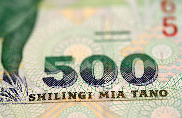 Tanzanian money stock photo