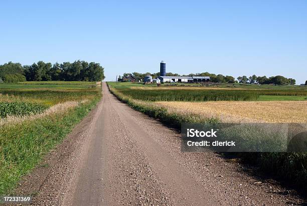 Estrada Através Do Campo - Fotografias de stock e mais imagens de Dakota do Norte - Dakota do Norte, Exterior de edifício, Junco - Caniço