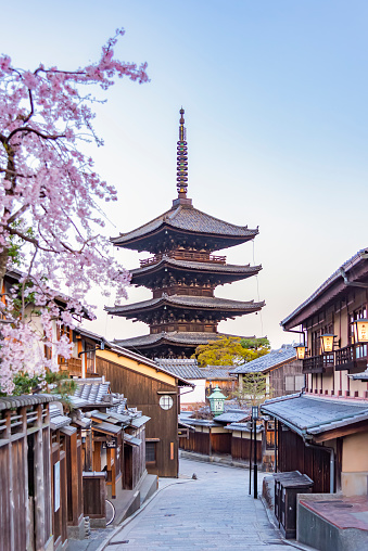 Japan - March 30, 2023 : Scenic landscape of Pagoda at Hokanji Temple and Pink Sakura in Springtime