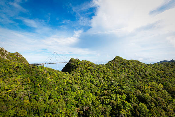 passerelle de langkawi - tropical rainforest elevated walkway pulau langkawi malaysia photos et images de collection