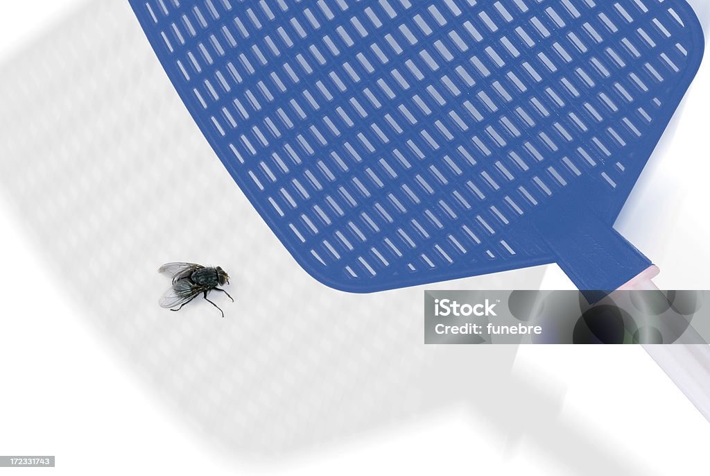 Big Fly Fly Swatter Fly Swatter Stock Photo