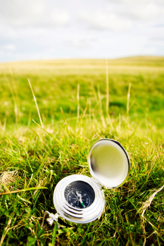 Chrome compass in a meadow