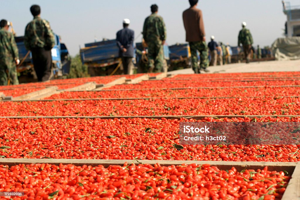 Trocknen Wolfberries - Lizenzfrei Beere - Obst Stock-Foto